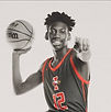 Ironwood High School basketball alumni